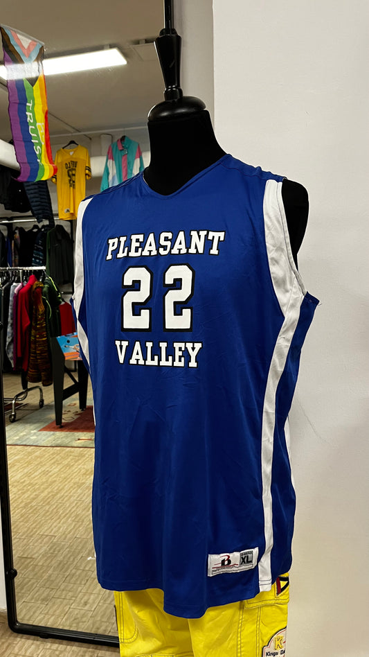 Pleasant Valley 22